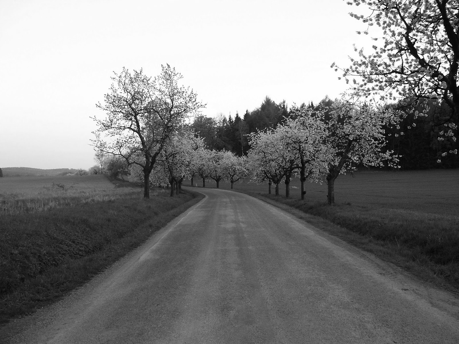 Tresnovka